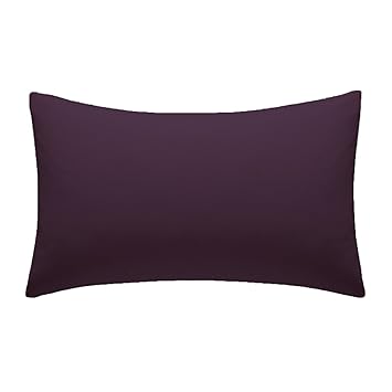 Amigozone New 2 X Pillow Cases Housewife Plain Cover Polycotton