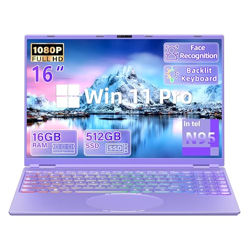 Ramtuk 16 inch Purple Laptop 16GB RAM 512GB SSD