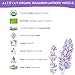 Alteya Organics Lavender Water USDA Certified Organic Facial Toner, 8.5 Fl Oz/250mL Pure Bulgarian Lavandula Angustifolia Flower Water, Award-Winning Moisturizer BPA-Free Bottle with Reducer