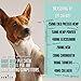 Hemp Hip & Joint Supplement for Dogs with Organic Hemp Oil, Glucosamine, Turmeric, MSM - for Joint Support, Mobility, Arthritis Pain Relief and Anxiety - 120 Soft Chews