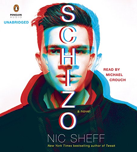 UC Schizo: A novel