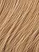Christie Brinkley Natural Tone Hair Wrap Color HT25 Med Golden Blonde 6