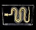 Real Snake Skeleton Specimen in Acrylic Block Paperweights Science Classroom Specimens for Science Education