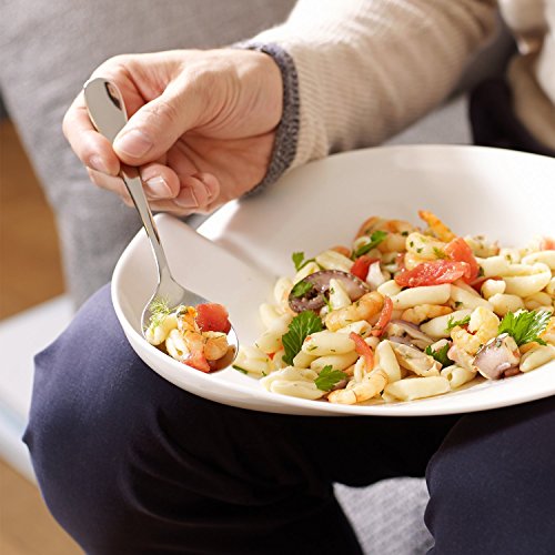 Pasta Passion Medium Pasta Plate Set of 2 by Villeroy & Boch - Premium Porcelain - Made in Germany - Dishwasher and Microwave Safe - 10.75 Inches