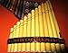 Professional Peru Treasure Standard Size Curved Antara Pan Flute 13 Pipes Case Included