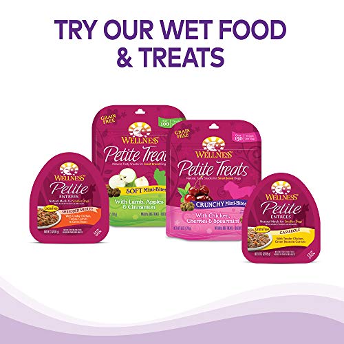 Wellness Core Dog Food Wellness Complete Health Small Breed Dog