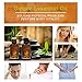 Pure Ginger Oil, Natural Lymphatic Drainage Ginger Essential Oils, Natural Therapeutic Massage Oil Promote Blood Circulation, Relieve Muscle Soreness 2pcs