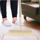 SWISSPACK Long Handled Dustpan and Brush Beige DP 1 Pack view 3