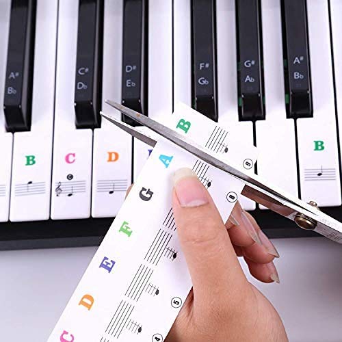 Piano keyboard stickers Fits 37 49 54 61 or 88 keys,Transparent and Removable for Kids Beginners Piano Practice Learning (color)
