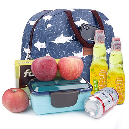 image for BALORAY Lunch Bag for Women Lunch Tote Bag Insulated Lunch Bag Lunch H