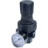 Tru-Flate 24-414 Compact Regulator