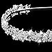 Wedding Bridal Rhinestone Flower Leaves Headband Tiara Headdress Silver