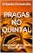 Livro PRAGAS NO QUINTAL: Diálogos do Além sobre Drogas e Afins
