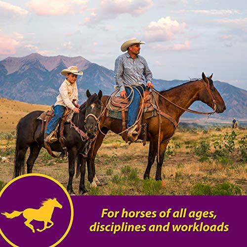 Horse Health Red Cell, Liquid VitaminIronMineral Supplement for