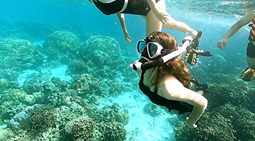 image for FinaTider [2019 New Snorkeling Set] Diving Mask 180° Undersea Picture