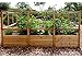 Outdoor Living Today Raised Garden Bed 8 x 12 with Deer Fence Kitthumb 3