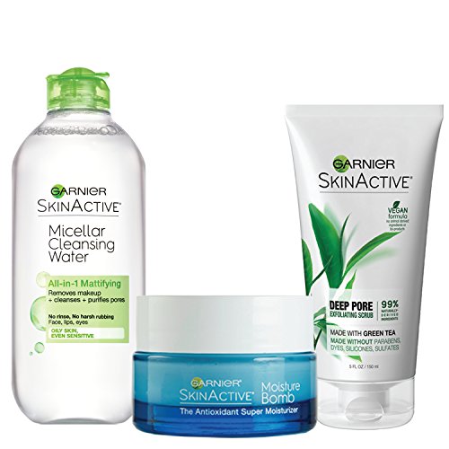 Garnier SkinActive Oily Skin Kit Pricepulse