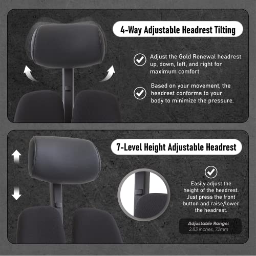 Duorest Modern Ergonomic Office Chair for Lower Back Pain Best