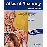 Atlas of Anatomy (Thieme Anatomy): 9781604060621: Medicine & Health