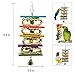 kathson Bird Toys,Parrot Hanging Colorful Toy,Rattan Balls Chewing Toys Suitable for Small and Medium Pet Birds Like Parakeet,Conure,Lovebirds,Finches(2 Pack)thumb 1
