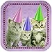 Blue Orchards Kitten Party Supplies Packs (113+ Pieces for 16 Guests!), Kitten Party Supplies, Cat Birthday