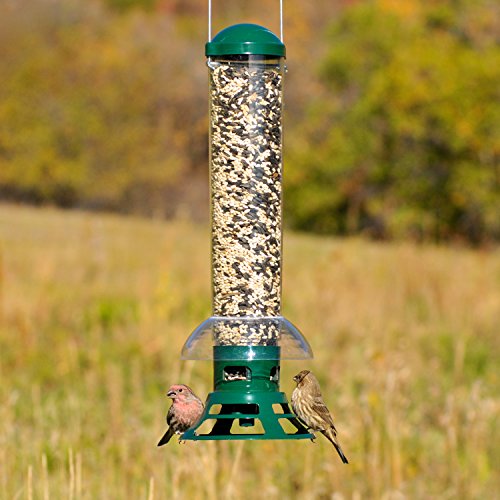 Perky-Pet 5141-2 Squirrel Slammer Wild Bird Feeder