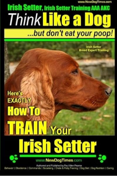 irish setter training