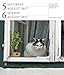 Cat Page-A-Day Gallery Calendar 2017