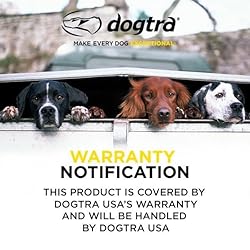Dogtra 280C Waterproof 127-Level Precise Control