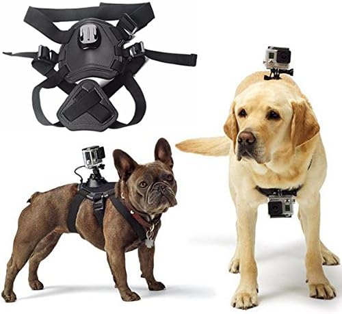Heart Horse Dog Chest Harness Adjustable Fetch Strap Belt Mount for Gopro Hero 4/3+/3/2/1 Sjcam Sj5000+ Sj4000 4K Action Cameras Chest And Back Mount for Medium and Large-size Dogs