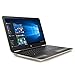 HP Premium Pavilion Business Flagship High Performance Laptop PC 15.6