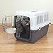 Pet Kennels Small