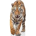 Amazon.com: Tiger - Life Size Cardboard Cutout Standup People with ...