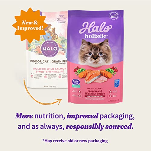 Halo Holistic Indoor Cat Food Dry, Grain Free Wildcaught Salmon