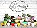 My Urban Crafts 20 Pcs White Terracotta Clay Pots 2.5 Inch Small Succulent Pots Ceramic Mini Plant Pots White Terra Cotta Flower Pots for Cacti Succulents, Crafts, Wedding Favors (Matte White Bisque)