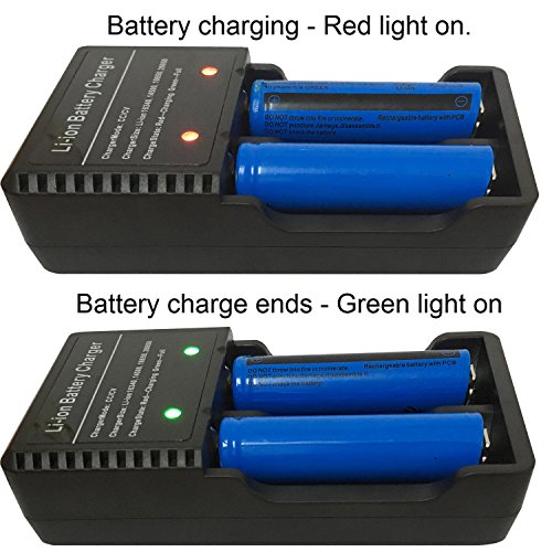 2 Battery+Charger+66mmx18mm+Flashight+Headlmap