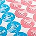 PROLOSO Baby Shower Gender Reveal Voting Board Team with Pink & Blue Stickers (Buck or Doe)