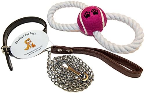 Leash &amp; Collar PLUS For Small Dogs | 3.5' Chain Leash | 14" Dog Collar | Guaranteed | Figure '8' Chew Rope Toy | #1 Seller | Perfect For Smaller Breeds | Interactive Pet Toys | Dog Park Walking