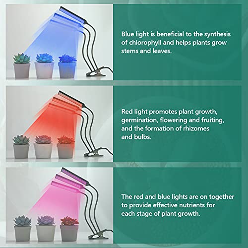 Grow Light for Indoor Plants-LDesign Plant Growing Lamp 315 LED 3 Heads Planting Lights Red Blue Spectrum 10 Dimmable Levels 3 Modes Timing Function (3/9/12 Hour Timer) Adjustable Gooseneck