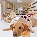 BIBTIM 2-In-1 Deshedding Tool Professional Pet Grooming Brush Kit Best Dog and Cat Hair Shedding Comb, Pink