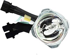 eWorldlamp ACER Projector EC.J0601.001 Original Bulb/Lamp Compatible for ACER PD521