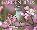 By Willow Creek Press Garden Birds 2014 Wall Calendar (Wal) [Calendar] by 