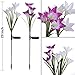 Doingart Outdoor Solar Garden Stake Lights 2 Pack Solar Powered Lights with 8 Lily Flower, Multi-Color Changing LED Solar Decorative Lights for Garden, Patio, Backyard (Purple and White)