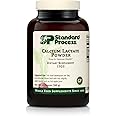 Standard Process Calcium Lactate Powder - Immune Support and Bone Strength - Bone Health and Muscle Supplement with Magnesium and Calcium - 12 Ounces