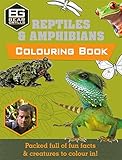 Bear Grylls Colouring Books: Reptiles (Bear Grylls Activity)