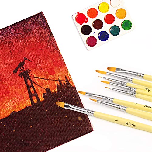 Miniature Paint Brushes - 15 pcs Acrylic Paint Brush Set for Fine Detailing, Different Sizes Paint Brushes for Acrylic Watercolor Oil Gouache Paint - Free Holder and Travel Bag