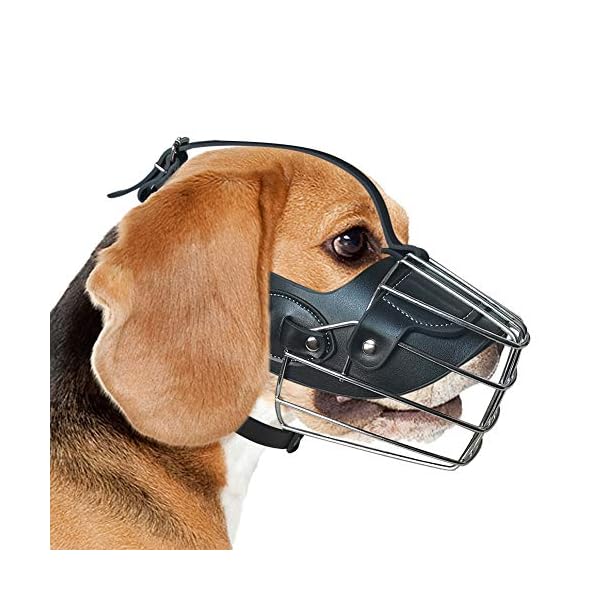 medium dog muzzle