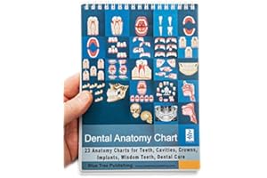 BLUE TREE PUBLISHING Dental Anatomy Flip Charts