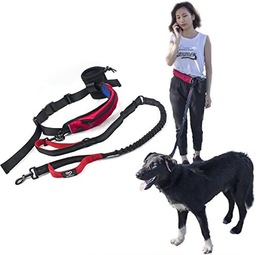 iSafeCare Hands Free Running Dog Leash with Water Bottle Holder for Walking Hiking Jogging Biking - Adjustable Waist Belt Pouch - Dual Handles Reflective Bungee Dog Lead