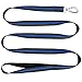 Dog Leash, Itery Reflective Dog Leash Pet Safety Walking and Trainning Leash 6 Feet Length 1 Inch Width (Blue)